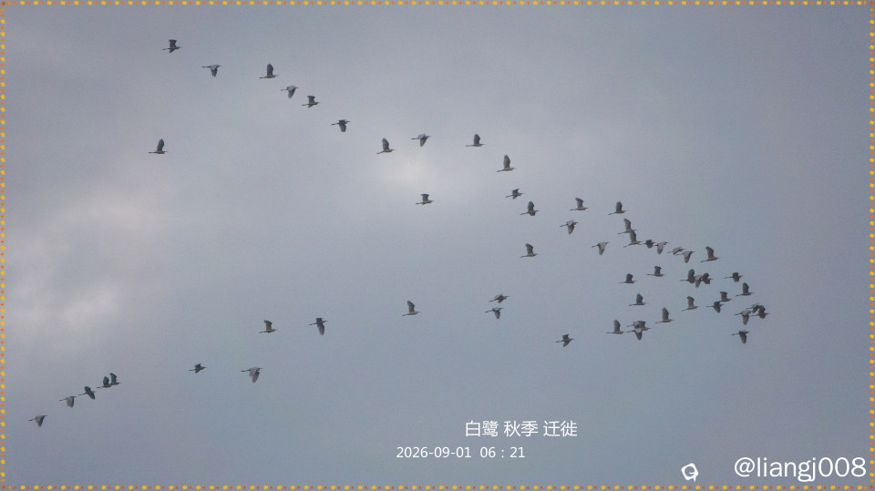 DSC00148.jpg