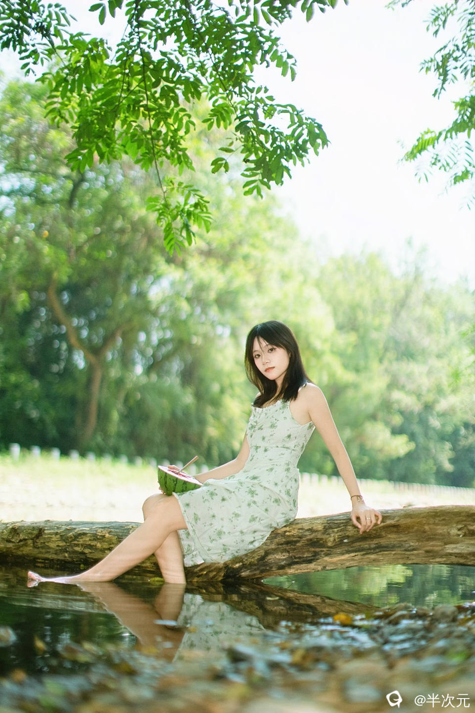 84593fe2-0e4c-a7d9-f515-ffb83258dc13.jpg