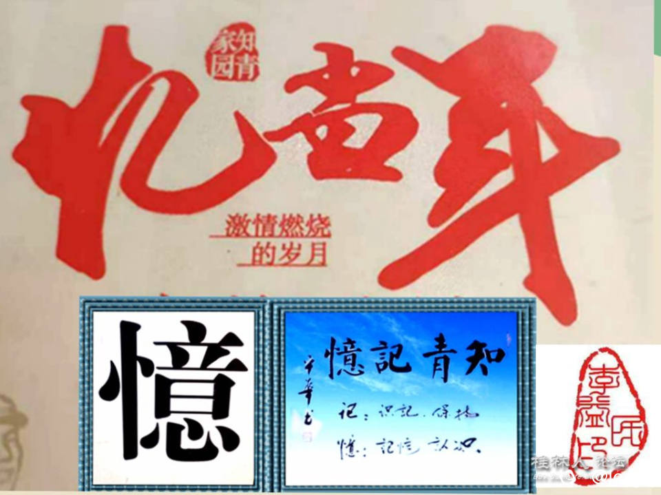 微信图片_20240711085330_副本_副本_副本.jpg