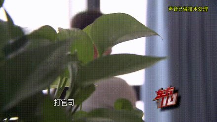 37歲女子借給游戲男友100萬，寧愿天天吃泡面也堅持轉錢！警方一查……