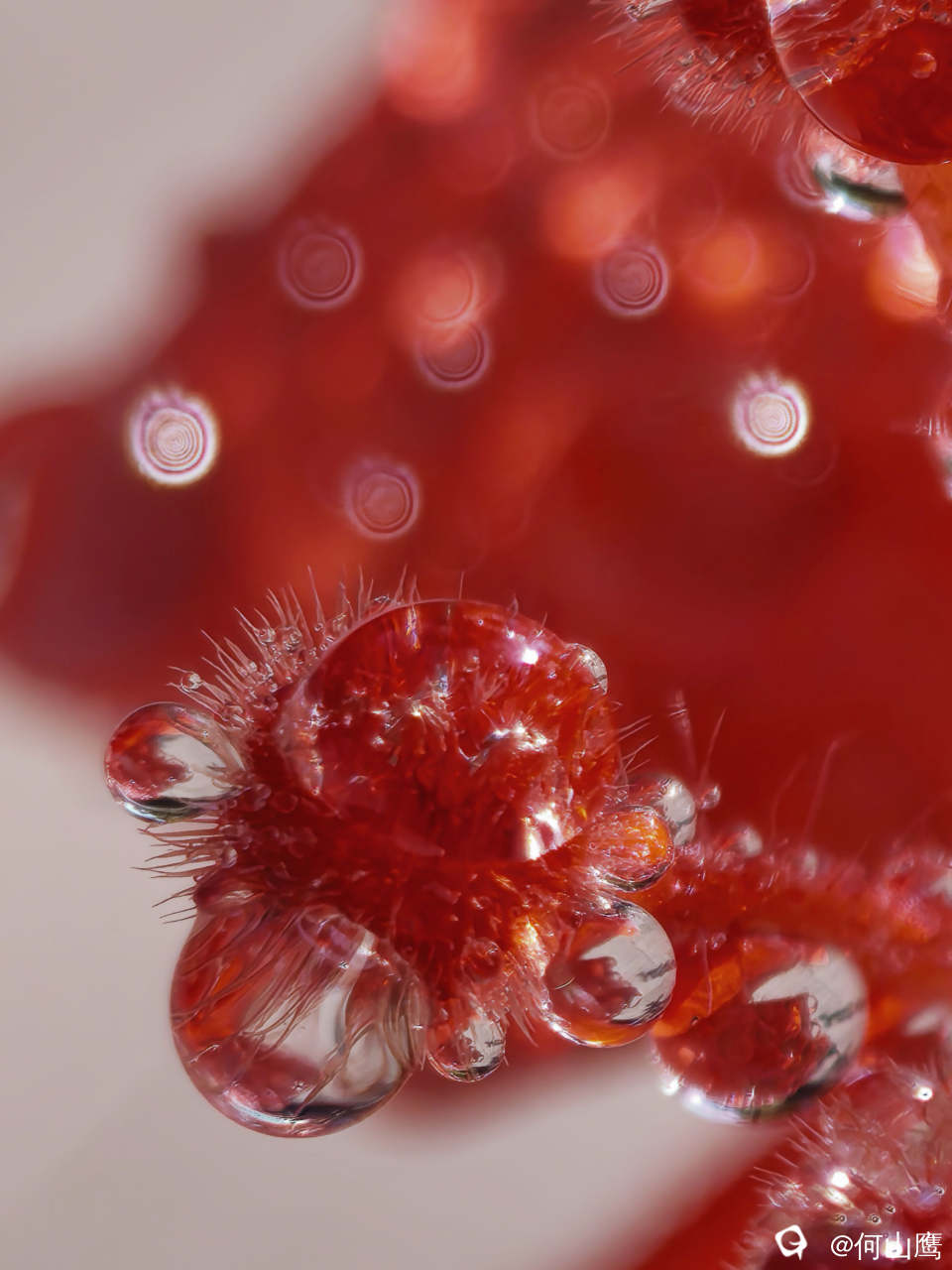 0c07a425-e993-b0b1-6c99-49a53c679464.jpg