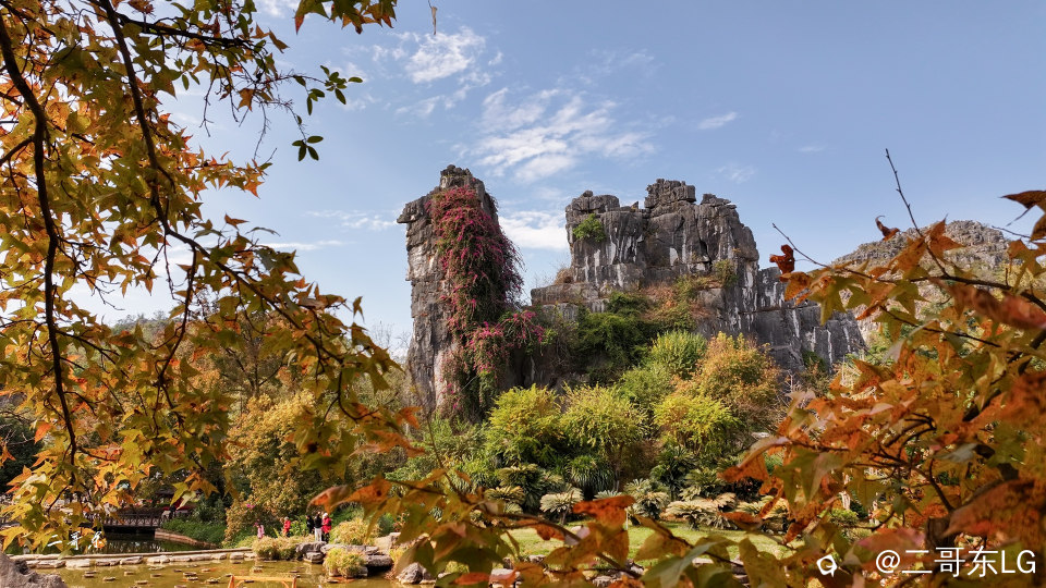 骆驼赤霞 (12).jpg