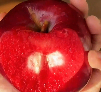 你吃过红心的苹果吗？