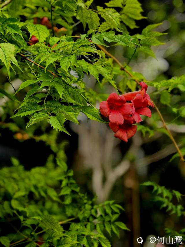 d5601edb-8d58-f40d-254b-4c7d15dc5509.jpg