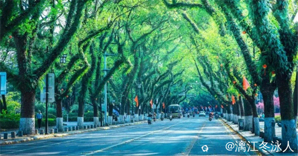 今昔滨江道，浓缩着桂林城建发展的精神脉络