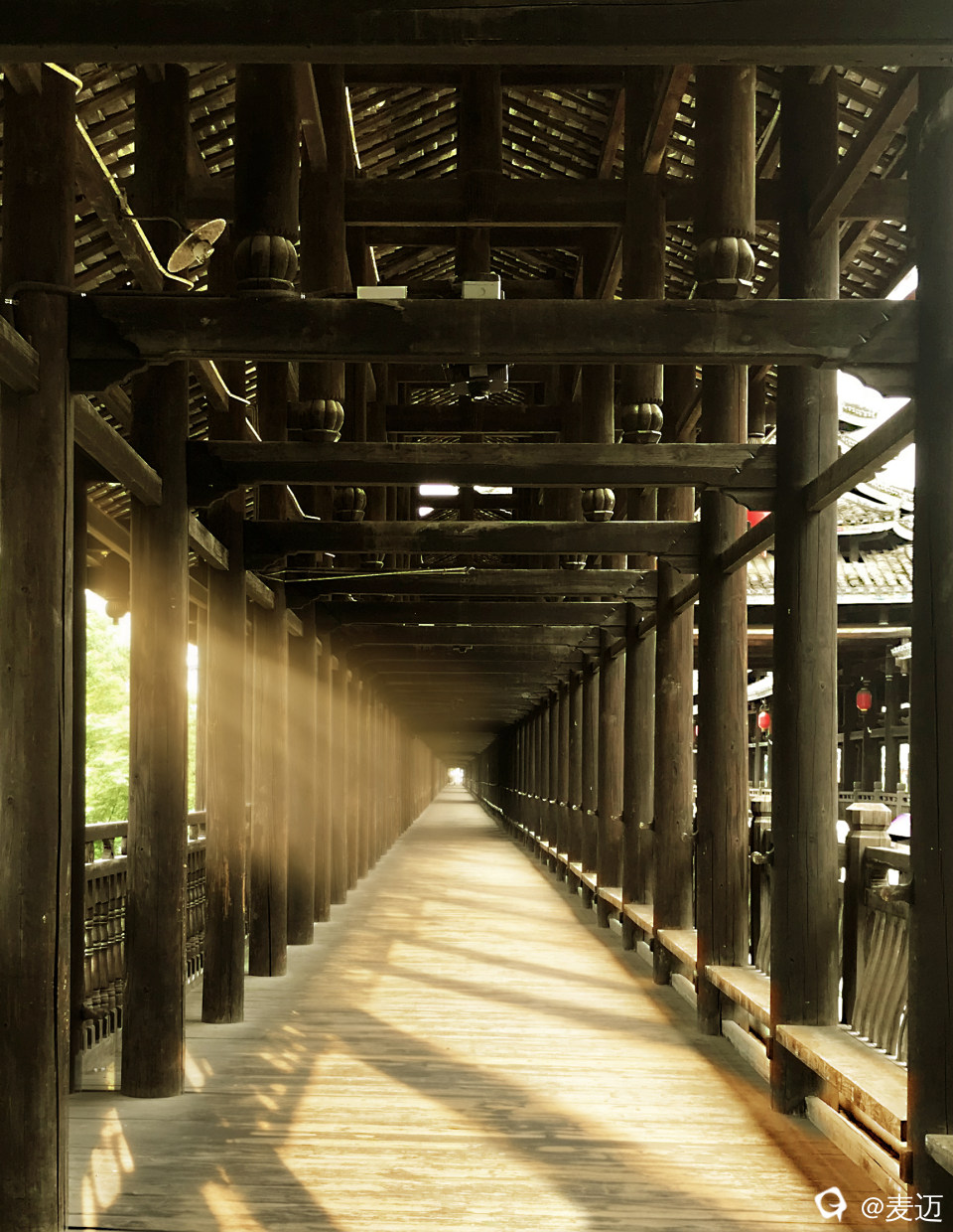F1ACC549-CEA6-406A-91D9-1EF951AFDA96.jpeg