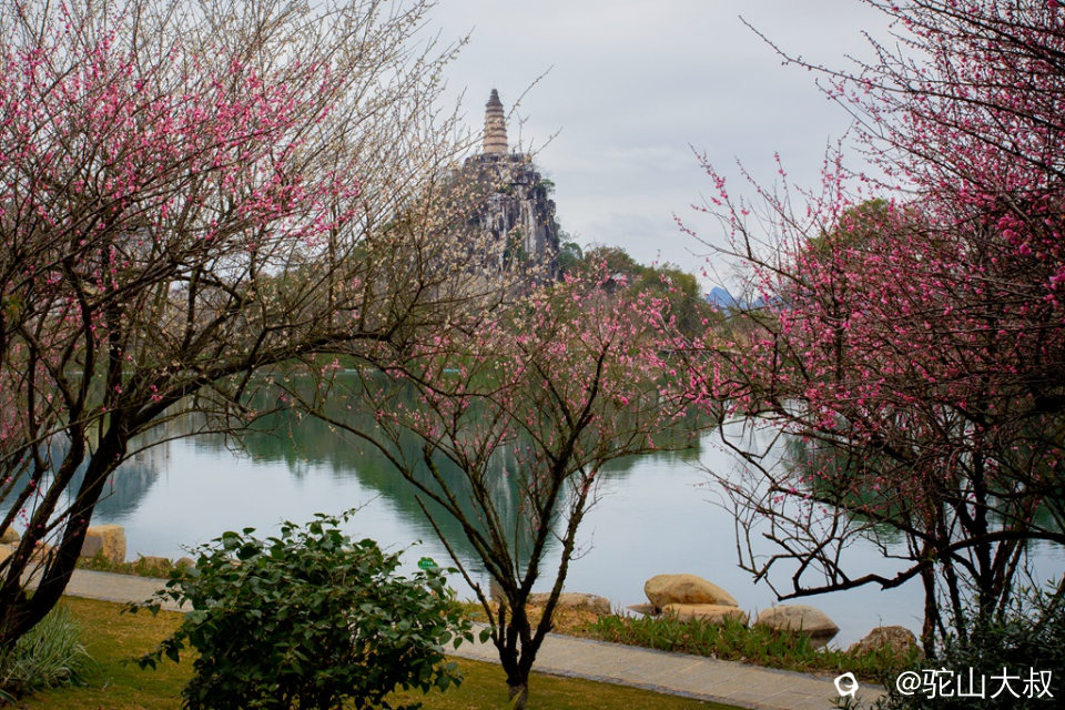 IMG_1438-0_副本.jpg