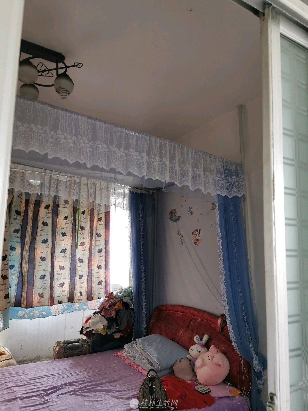 �ź�Сѧ�Ÿ���С����������
