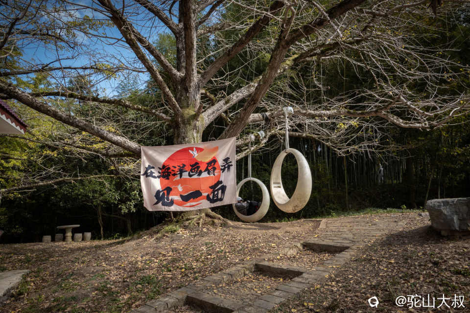 DSC04284-0 - 副本.jpg