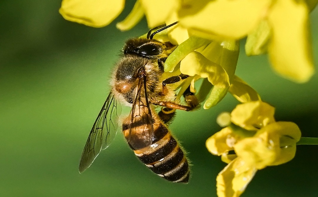 ★★★★★勤劳