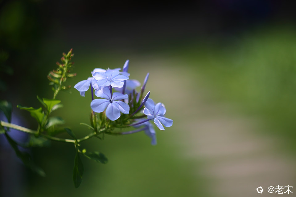 FB0A6544.JPG