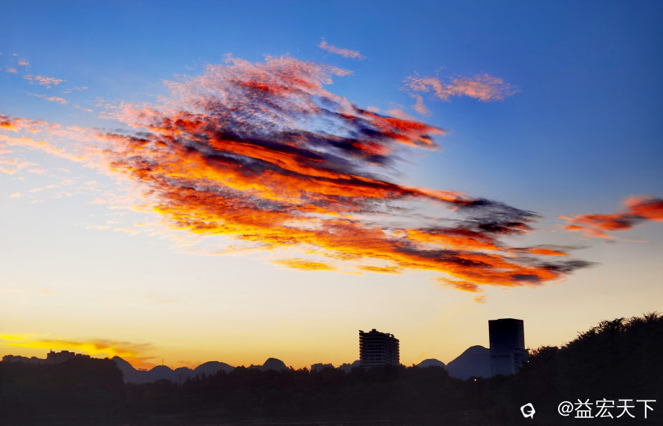 鱼跃水天