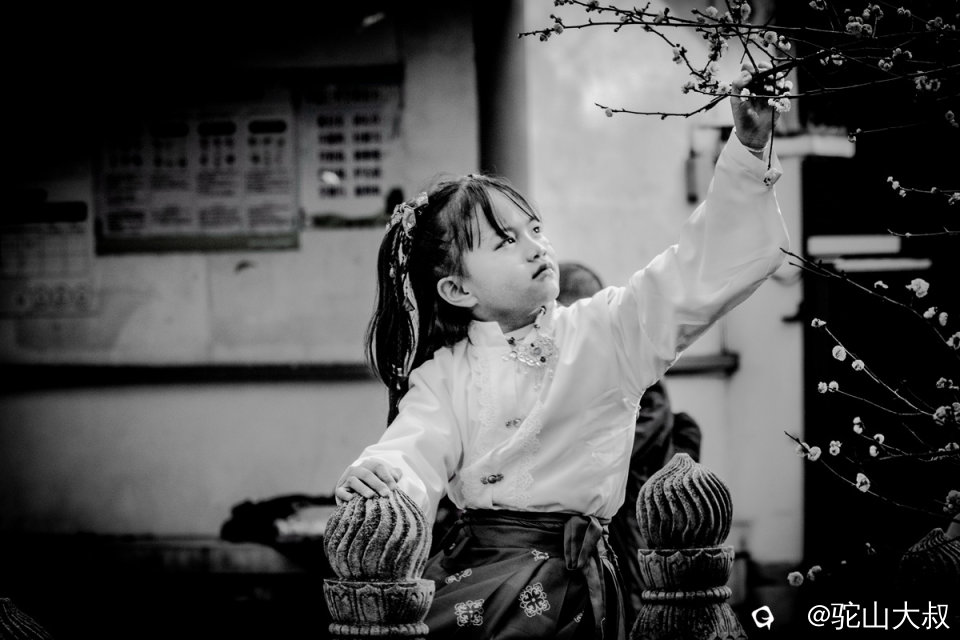 DSC05725-05_副本.jpg