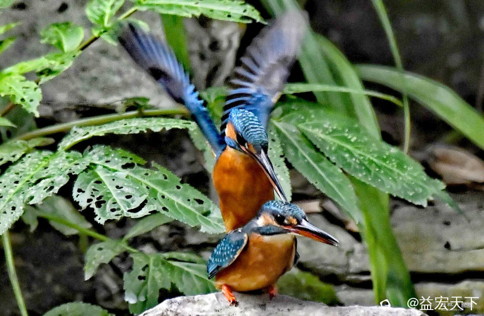 image_1774845822025.jpg