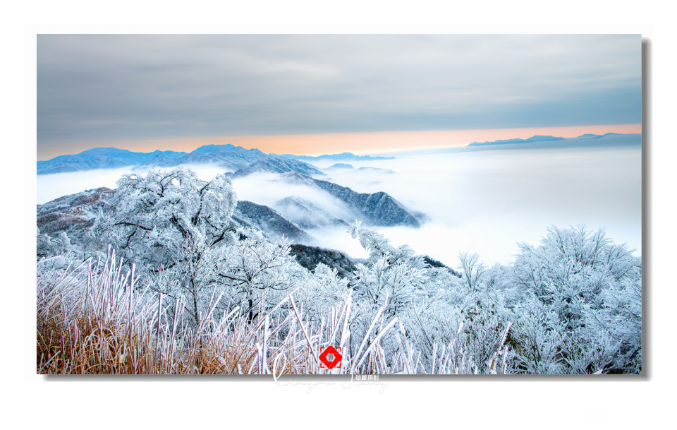 _DSC7678 拷贝_副本.jpg