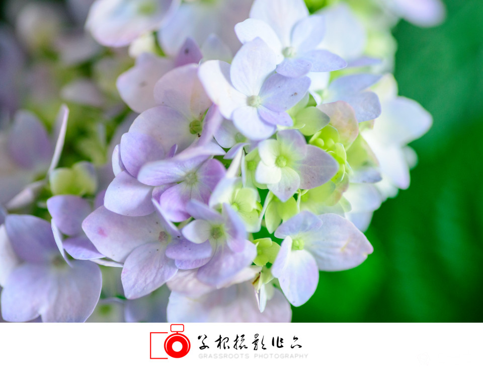 _DSC7792 拷贝_副本.jpg