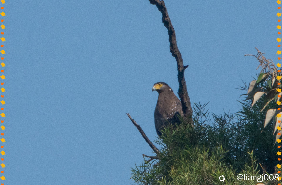 DSC00872_副本_副本.jpg