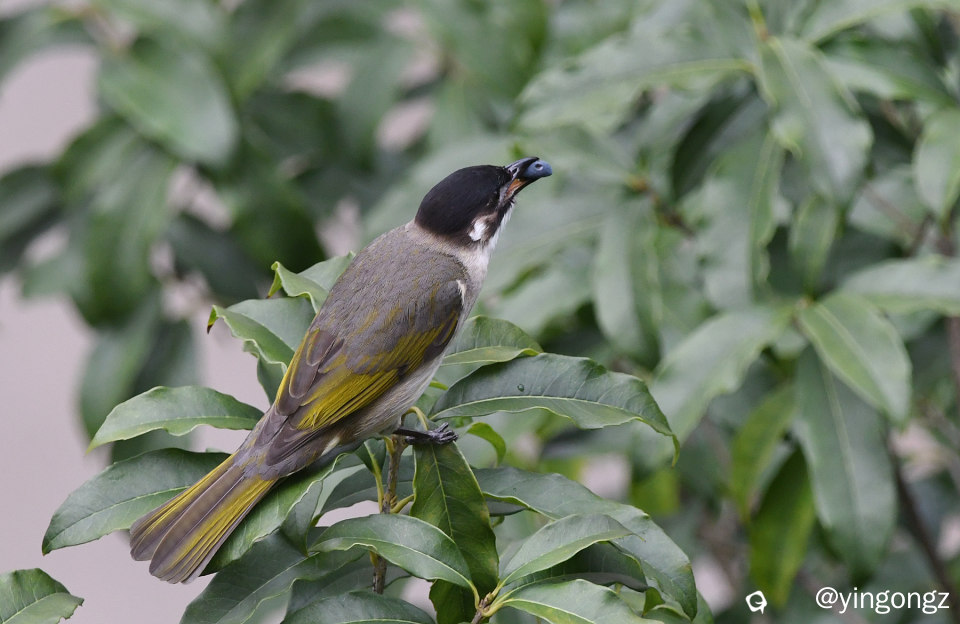 DSC_9076_副本.jpg