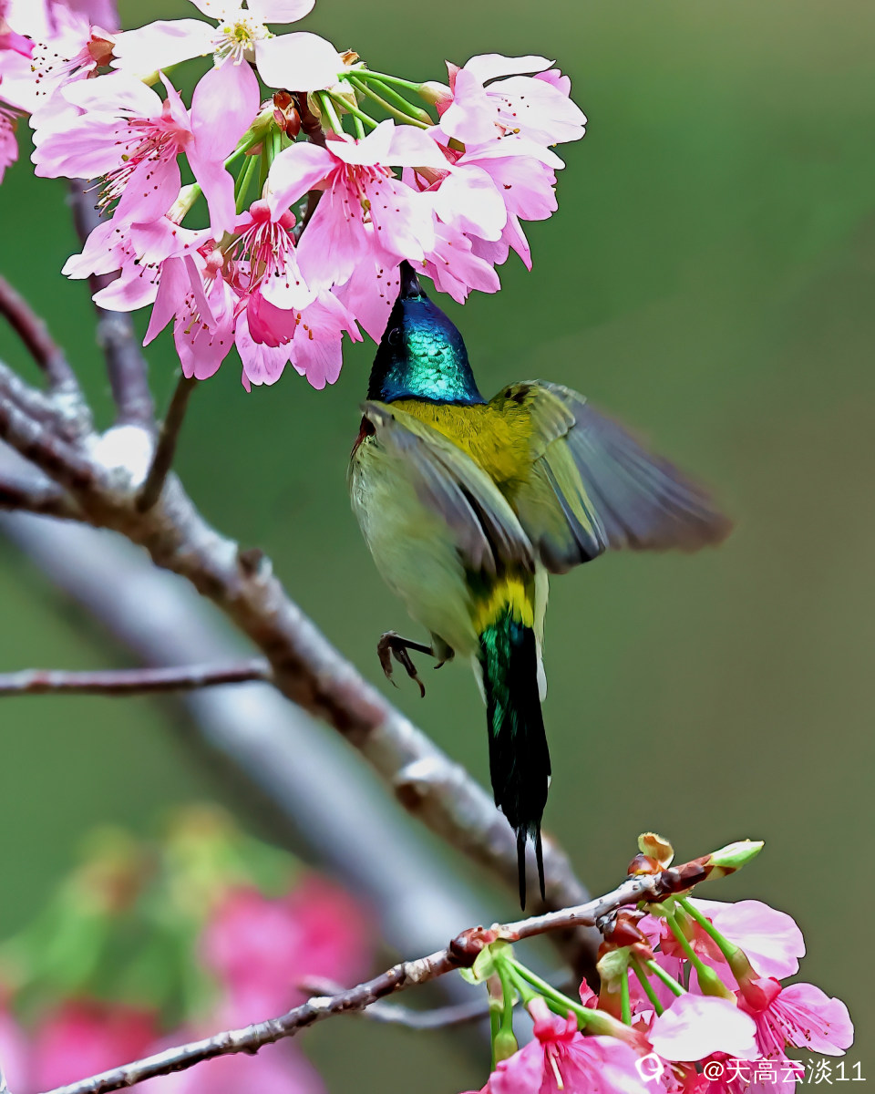 5D2A0618-DeNoiseAI-clear.jpg