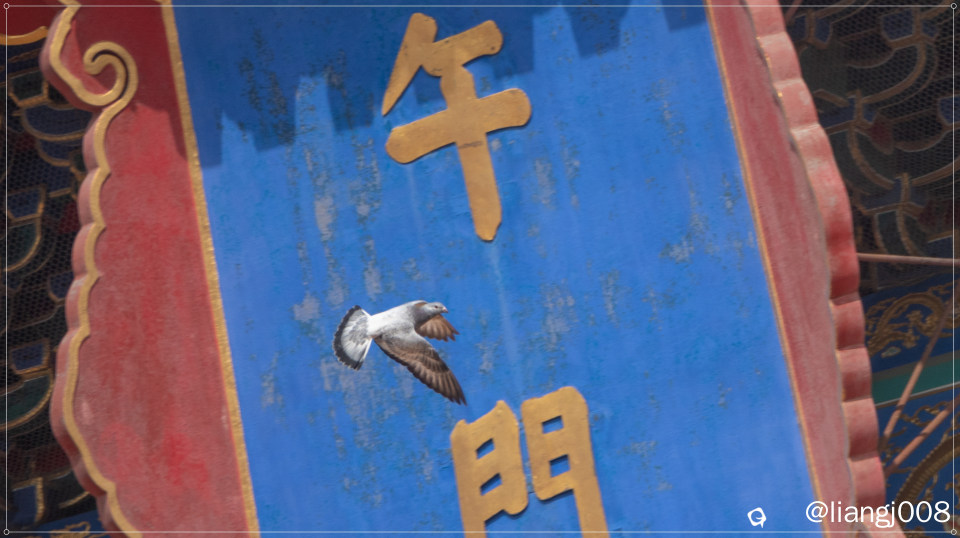DSC07931_副本.jpg
