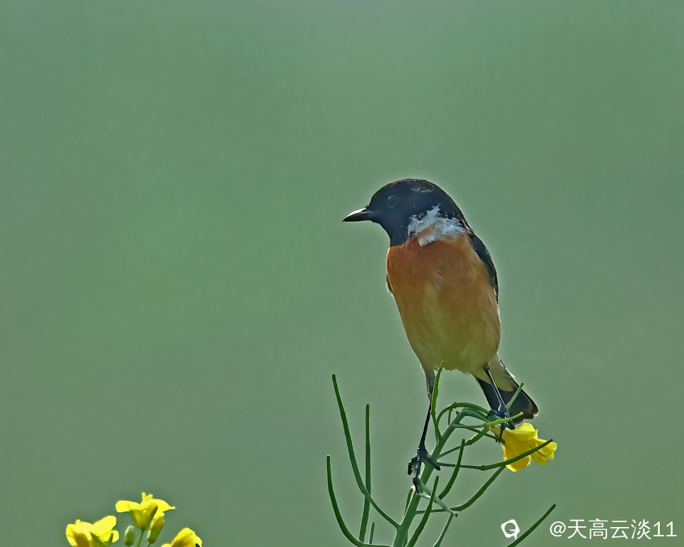 5D2A4740-DeNoiseAI-clear.jpg