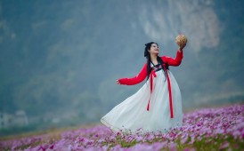 会仙玻璃田冬日花海