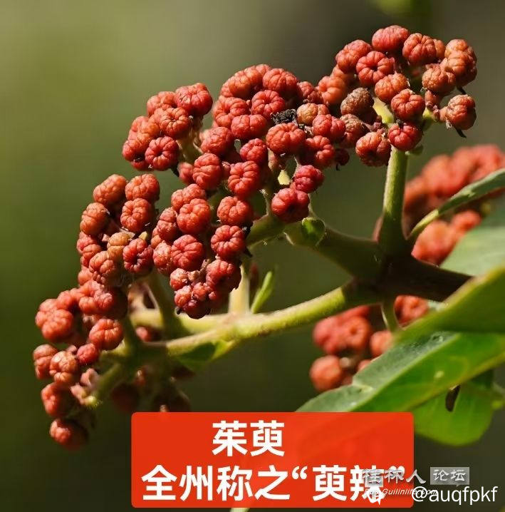 微信图片_20250604120037_697.jpg