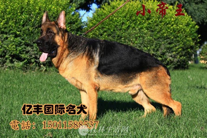 ���۴��ֵ��� �������������� �ڷ�Ȯ��ֱ��