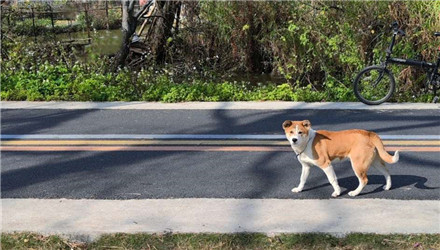 沿江骑行，让冬的彩色耀花双眼