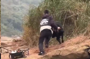 小伙钓鱼时与羊上演&ldquo;巅峰对决&rdquo; 网友:钓不到鱼开始怪羊了?