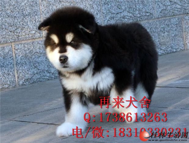	 ���ְ���˹����Ȯ����Ǯ �ܰ氢��˹��Ȯ