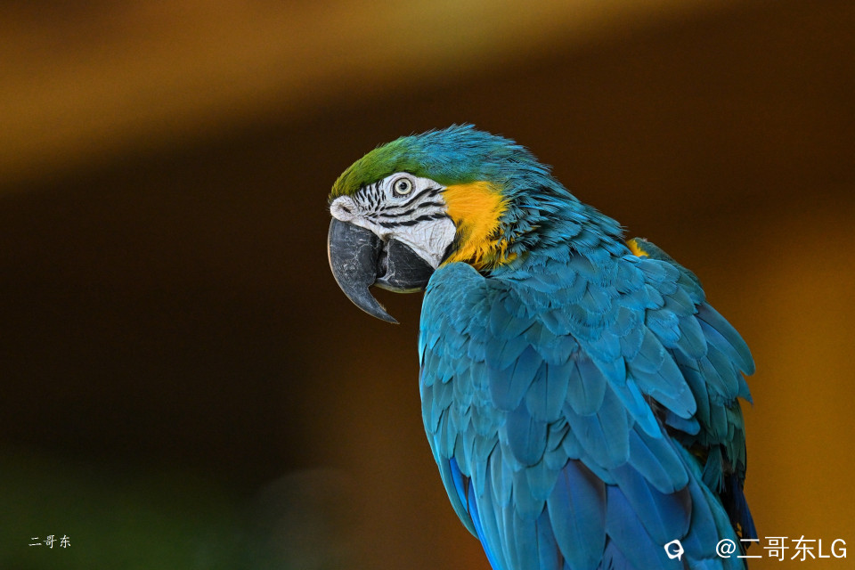 DSC_9277.jpg
