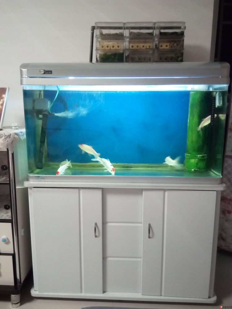 1�״�����ף���1��С��