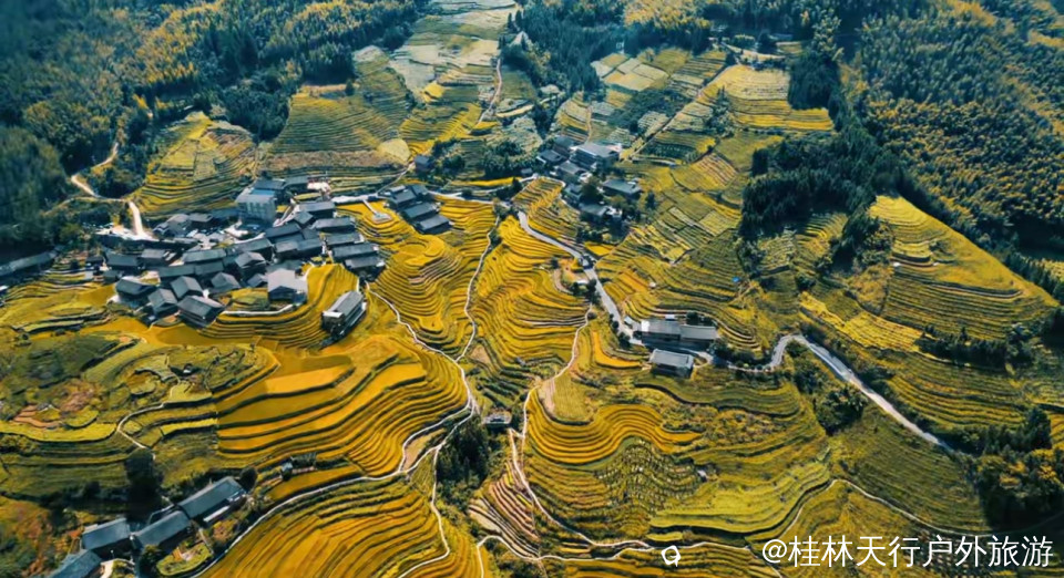 微信图片_20251009100043_76_3.jpg