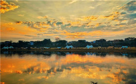 满城尽带黄金甲