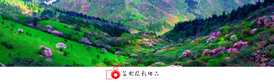 _DSF5040-Pano 拷贝1_副本.jpg