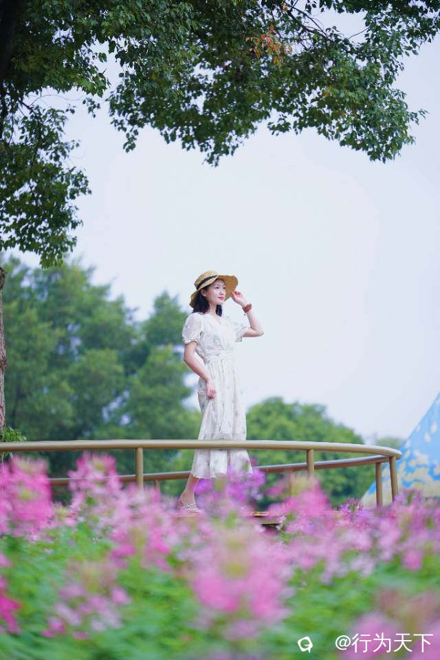 ad9bcd38-00b4-5ef3-54ca-cb9a94708fa7.jpg