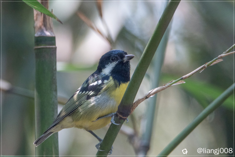 DSC08841_副本_副本.jpg