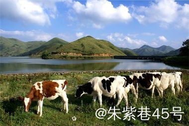 mmexport0b22a5508492684a4b411f599a266471_1716668751637.jpg