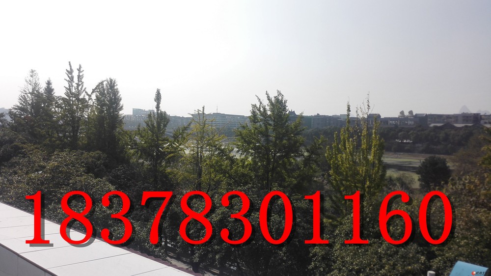 Lȫ���������������������ͷ�ٽ�·һ�߶�������340ƽ�� ����850��