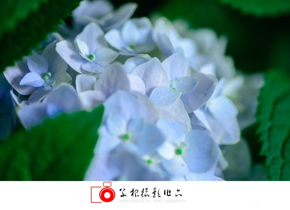 _DSC7783 拷贝_副本.jpg
