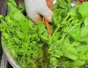 只有吃过的人才知道有多好吃！两广人的烧烤摊开始出现烤菜花、烤豌豆尖！网友：我一个人能吃10串