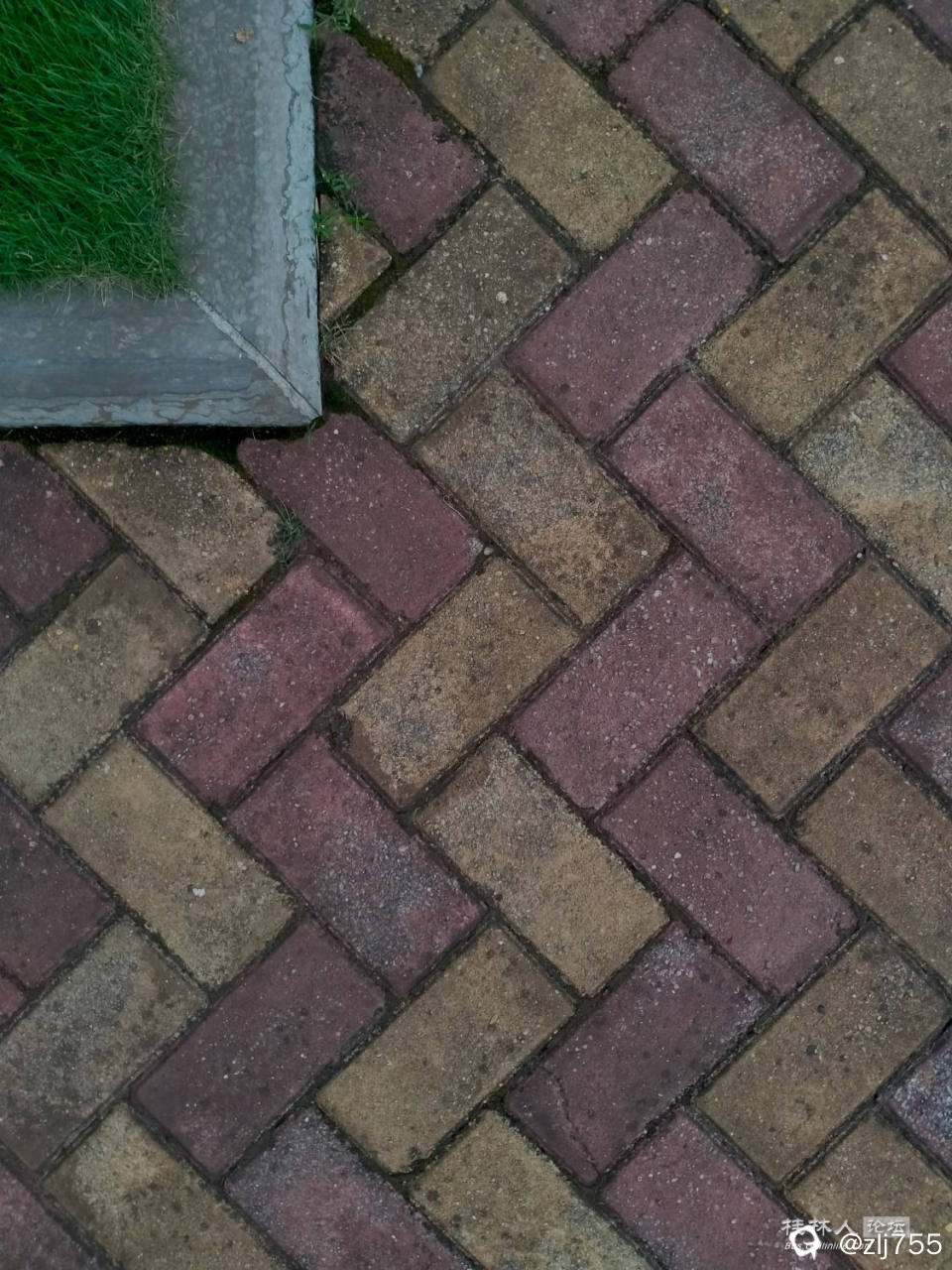 IMG20230830181910.jpg