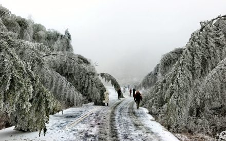 资源隘门界赏雾凇