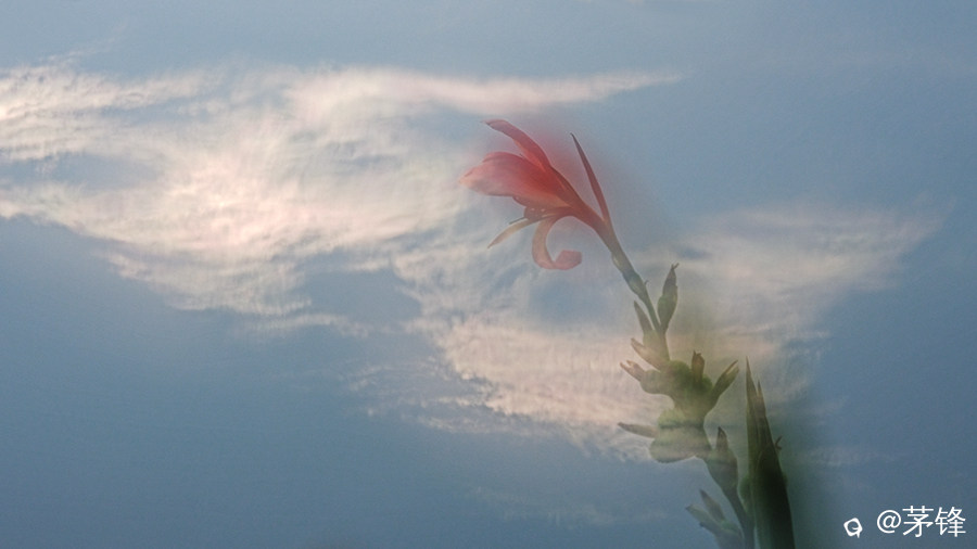 DSCF8823.jpg