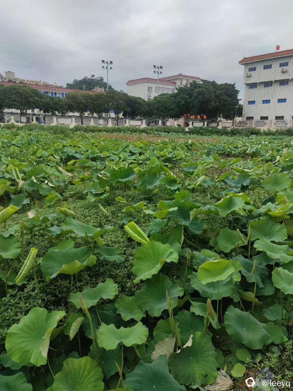 微信图片_20240601205345.jpg