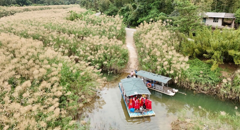 赴一场微雨与芦苇的初冬之约