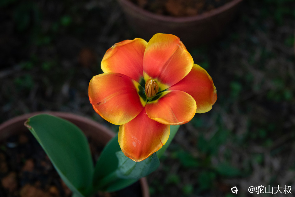 DSC00549-0 - 副本.jpg