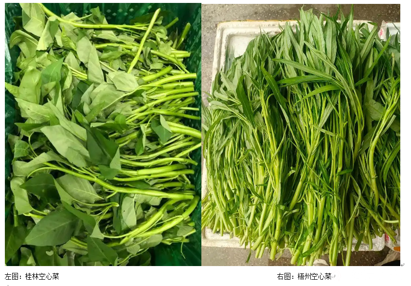 QQ截图20260723144102.png