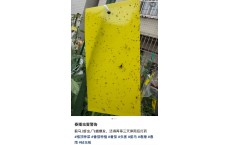 桂林人注意！最近少穿这种颜色的衣服出门